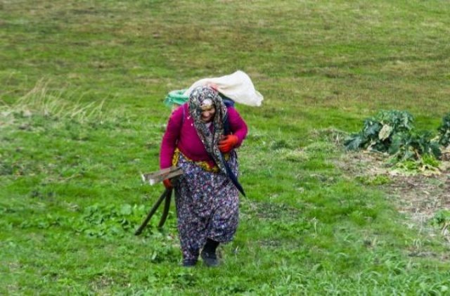 Karadeniz'de kadınlar yaz kış demeden çalışıyor 10