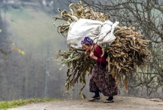 Karadeniz'de kadınlar yaz kış demeden çalışıyor 11