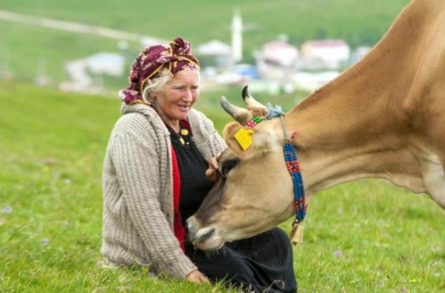Karadeniz'de kadınlar yaz kış demeden çalışıyor 4