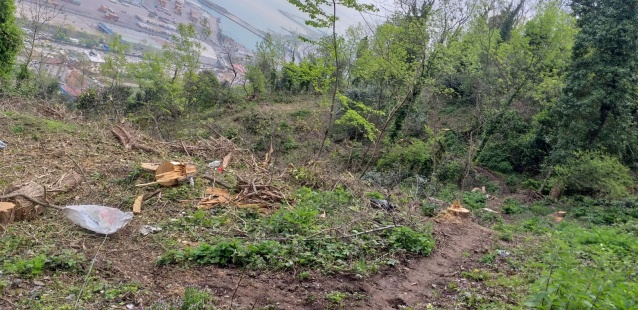 Boztepe'de ağaç katliamı yapanlar şimdi yandı! 3