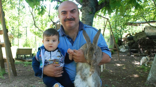 Herkes onları görmeye gidiyor 5