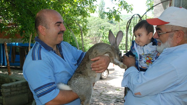 Herkes onları görmeye gidiyor 7