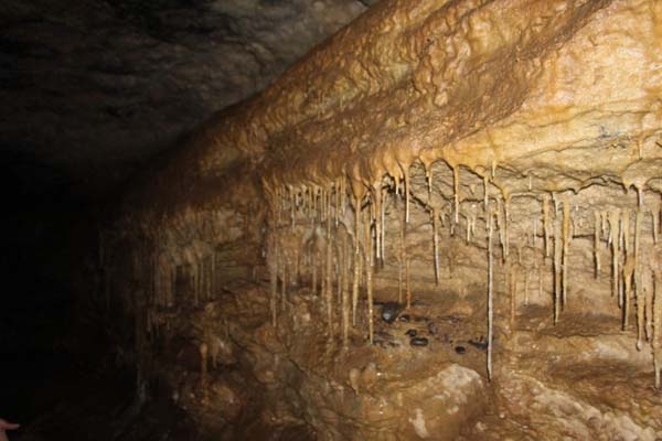 Trabzon'da gizemli mağara keşfedilmeyi bekliyor 7