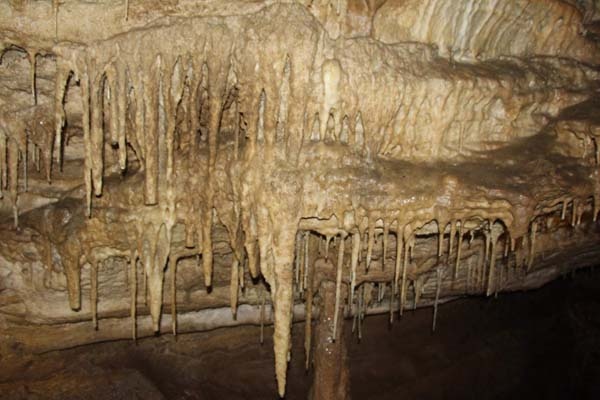 Trabzon'da gizemli mağara keşfedilmeyi bekliyor 12