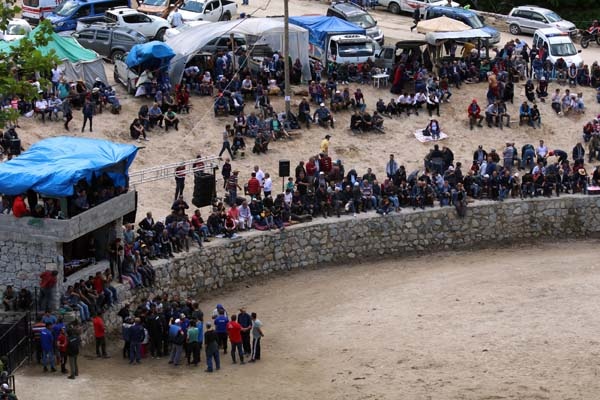 Boğa güreşlerinde onu hakemler bile arenadan uzaklaştıramadı 12