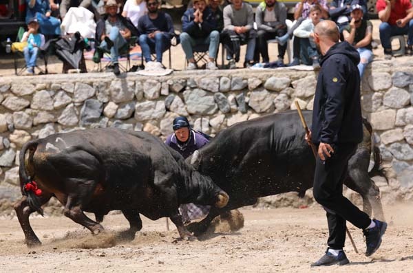 Boğa güreşlerinde onu hakemler bile arenadan uzaklaştıramadı 23