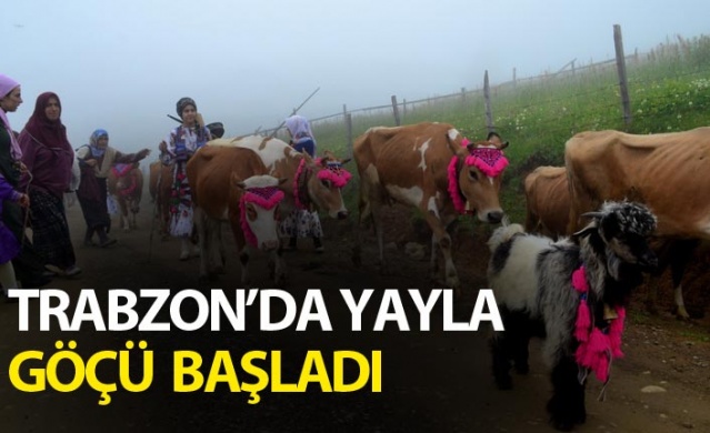 Trabzon'da yayla göçü başladı 1