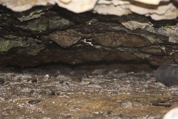 Ayasofya'da gizli mağara 2