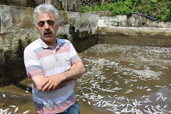 Trabzon'da 150 bin balık telef oldu, 300 bin TL’lik zarar oluştu 16