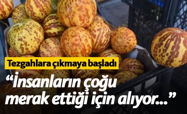 Kokulu kavun ilgi çekiyor 1