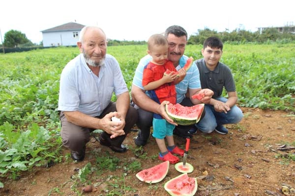 Doğu Karadeniz'de tek - Trabzon'da hasat başladı 6