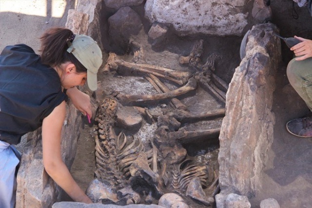 Kazı çalışmasında 5 bin yıllık iskeletler bulundu 3