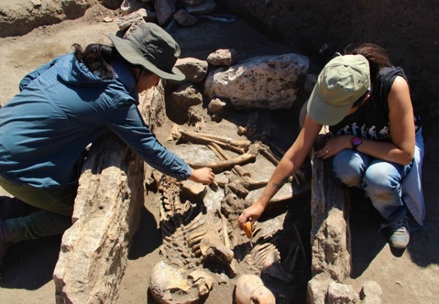 Kazı çalışmasında 5 bin yıllık iskeletler bulundu 12