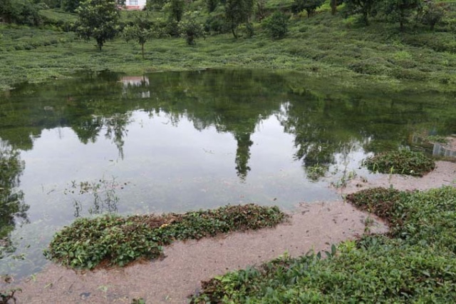 Rize'de iki kişinin inadı çay bahçesini göle döndürdü 8