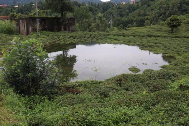 Rize'de iki kişinin inadı çay bahçesini göle döndürdü 15