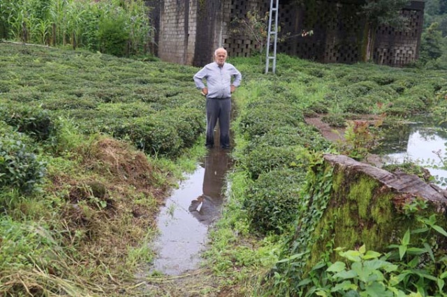 Rize'de iki kişinin inadı çay bahçesini göle döndürdü 13