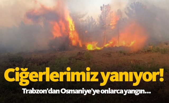 Türkiye'nin ciğerleri yanıyor 1