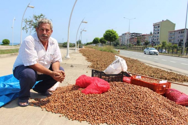 Trabzon'da ilginç fındık kurutma yöntemi 13