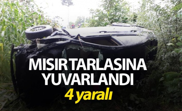 Samsun'da otomobil mısır tarlasına yuvarlandı: 4 yaralı 1