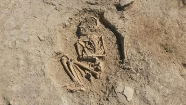 Arslantepe Höyüğünde 5700 yıllık çocuk iskeleti bulundu 3
