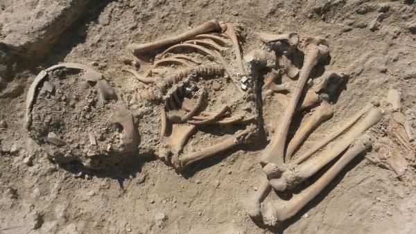 Arslantepe Höyüğünde 5700 yıllık çocuk iskeleti bulundu 1