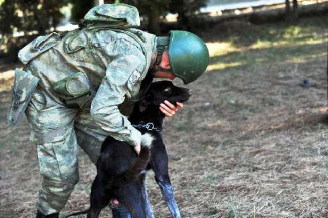 Trabzon köpeği Zerdeva operasyonlara hazırlanıyor 7