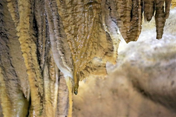Gümüşhane'deki yer altı mağarasını 120 bin kişi ziyaret etti 2