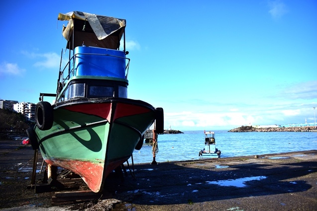 Batı Karadenizli balıkçılar yeni yıldan umutlu. 3