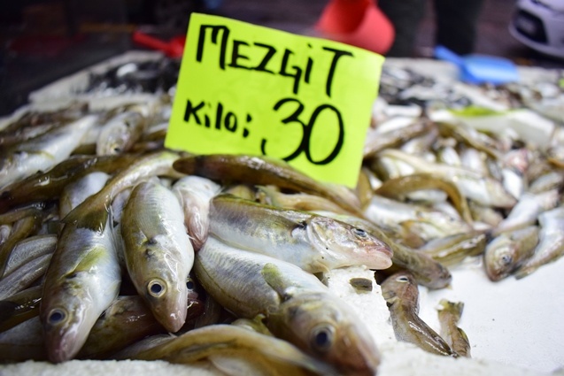 Batı Karadenizli balıkçılar yeni yıldan umutlu. 14