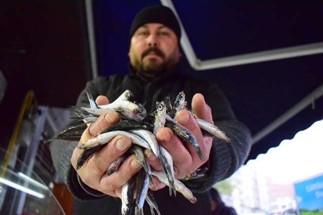 Batı Karadenizli balıkçılar yeni yıldan umutlu. 5