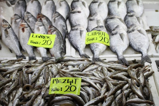 Batı Karadenizli balıkçılar yeni yıldan umutlu. 10