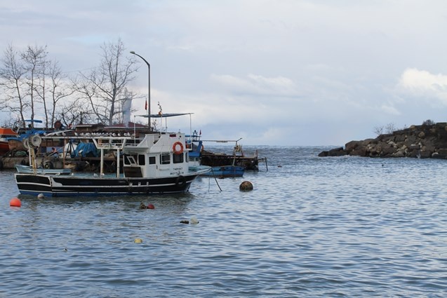 Batı Karadenizli balıkçılar yeni yıldan umutlu. 1