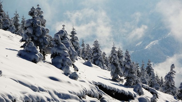 Trabzon yaylalarında kar manzaraları 7