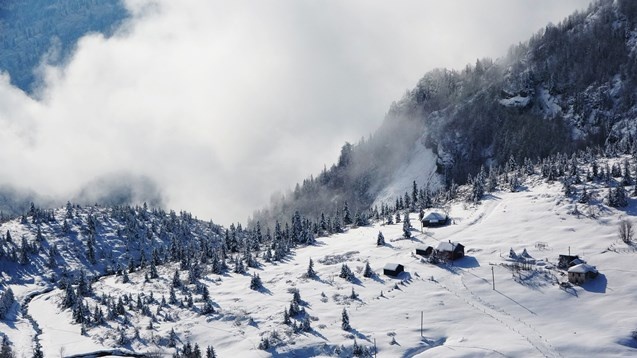 Trabzon yaylalarında kar manzaraları 8