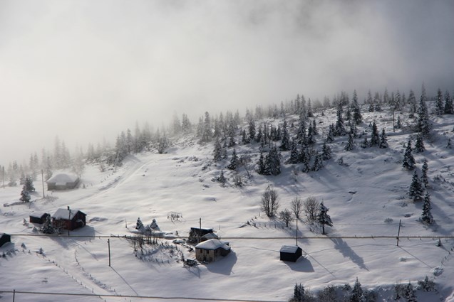 Trabzon yaylalarında kar manzaraları 15