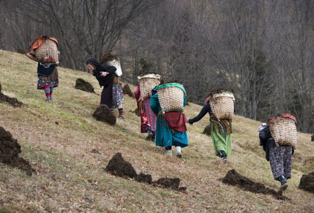 Karadeniz kadınları işe koyuldu 9