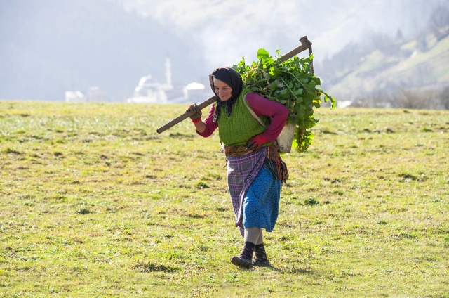 Karadeniz kadınları işe koyuldu 15
