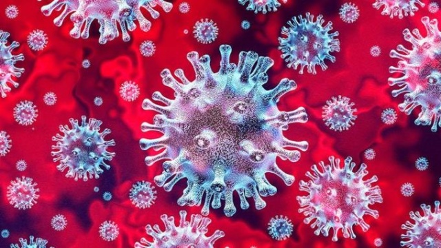 Koronavirüs salgını ne zaman bitecek, hayat ne zaman normale dönecek? 12