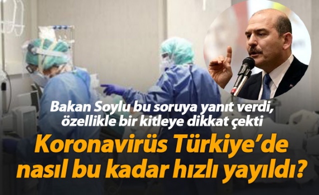 Bakan Soylu yanıtladı; Koronavirüs Türkiye'de nasıl bu kadar hızlı yayıldı? 1