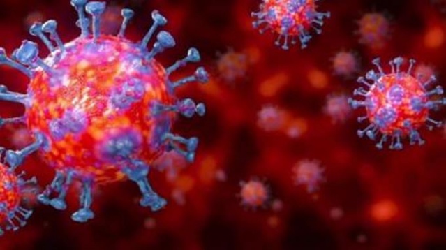 Koronavirüs en uzun hangi sıcaklıkta yaşıyor? 1