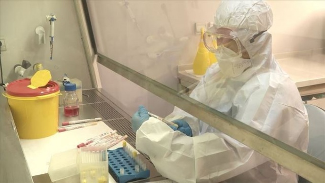 Avustralya koronavirüsle savaş için tüberküloz aşısını test edecek 1