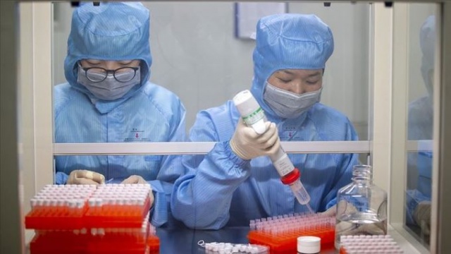 Avustralya koronavirüsle savaş için tüberküloz aşısını test edecek 4