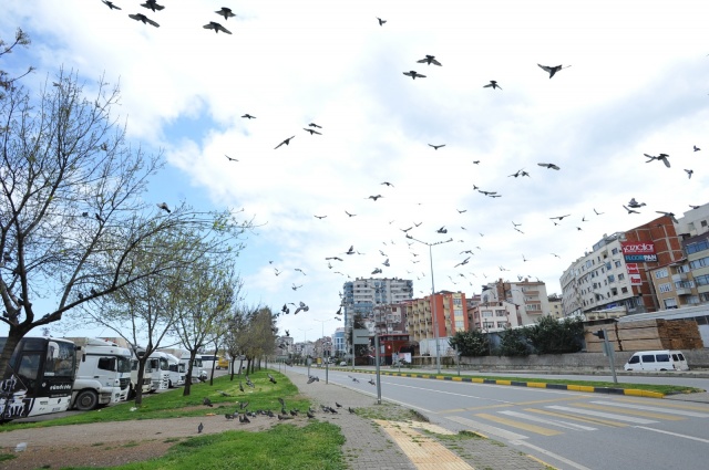 Trabzon sokaklarında son durum! Zorluoğlu teşekkür etti 23