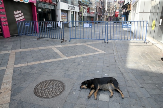Trabzon sokakları sessiz kaldı 6