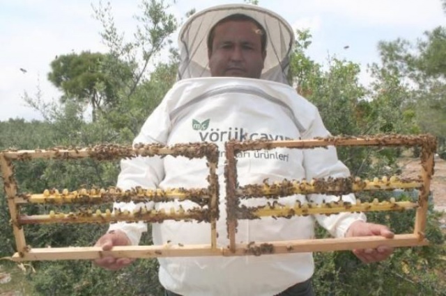 Kilosu 16 bin TL olan arı sütüne koronavirüs ilgisi 9