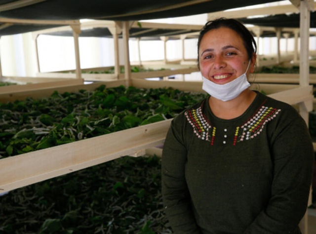 İzmir'de ipek böcekçiliğini kadınlar canlandıracak 5