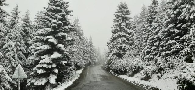 Doğu Karadeniz'de mayıs ayında kar yağdı 18