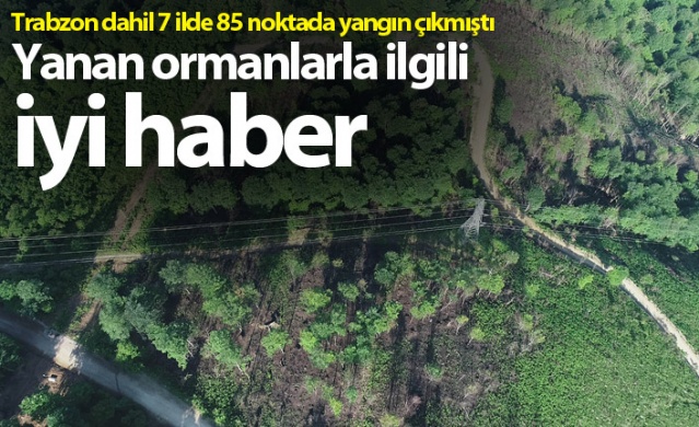 Trabzon dahil 7 ilde yangın çıkmıştı! Yanan ormanlardan iyi haber 1