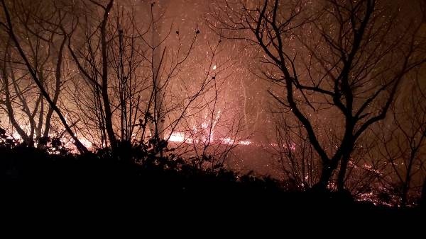 Trabzon dahil 7 ilde yangın çıkmıştı! Foto Haber 11