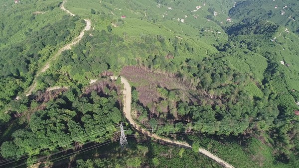Trabzon dahil 7 ilde yangın çıkmıştı! Yanan ormanlardan iyi haber 6